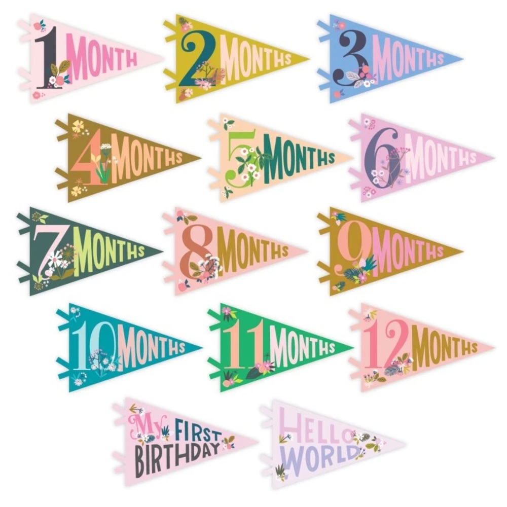 Lucy Darling Milestone Pennants